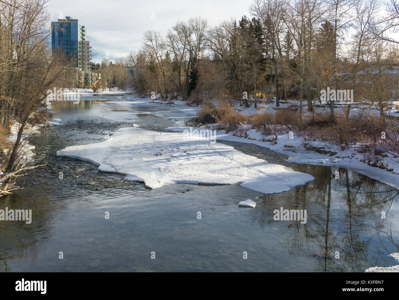 Elbow River Calgary AB Stock Photo Alamy