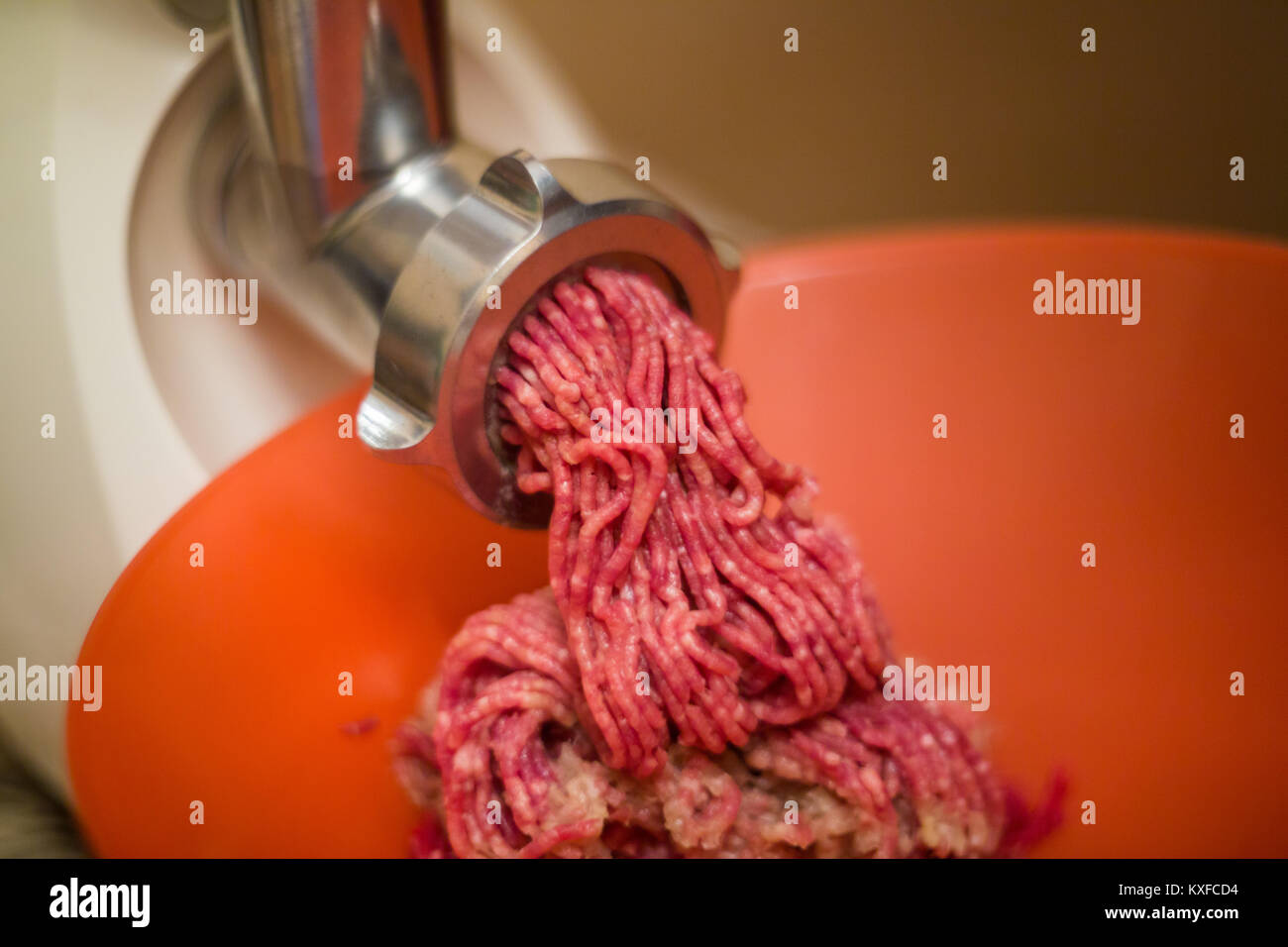 meat and grinder. Minced meat and meat grinder. Meat grinder machine  chopping uncooked ground meat Stock Photo - Alamy