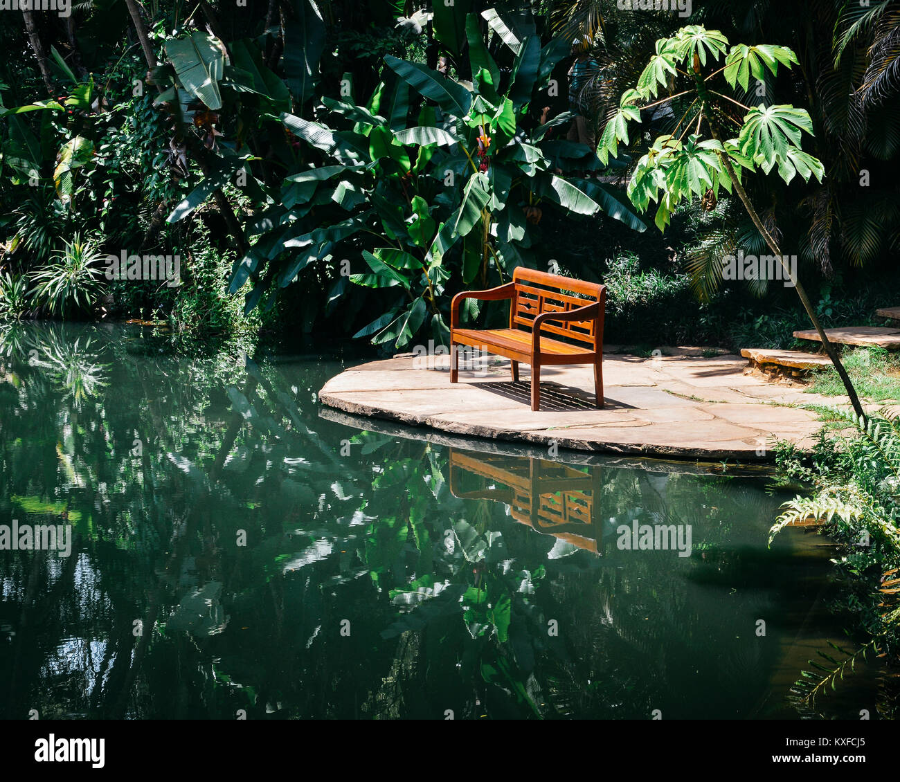 Bench next to a pond, captured in a tropical forest in Minas Gerais, Brazil Stock Photo
