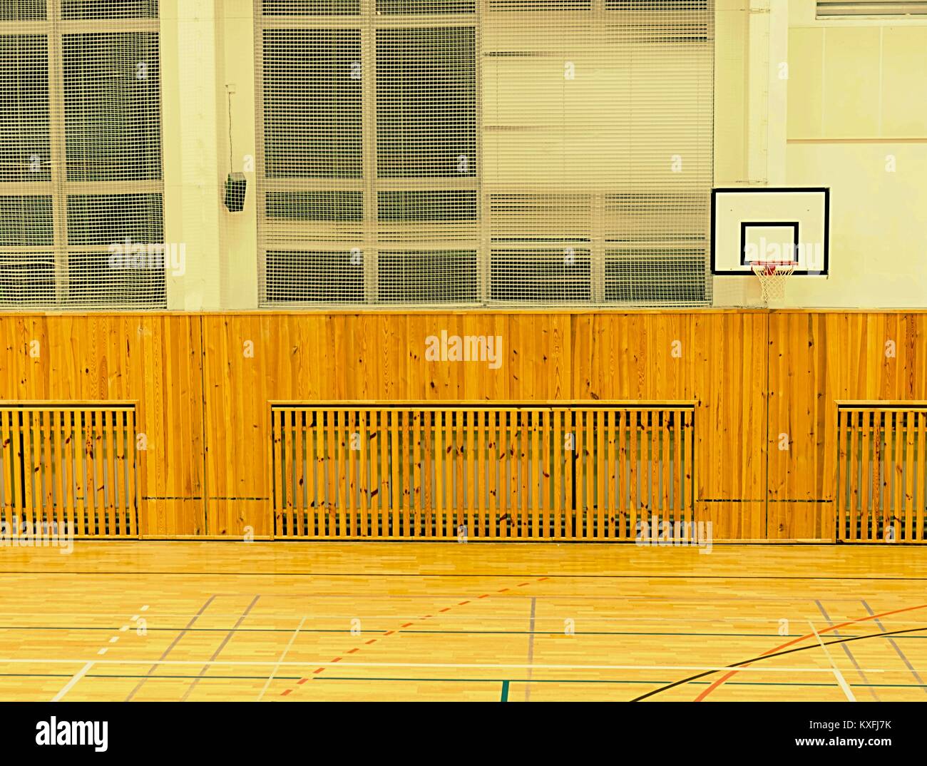 Insulated Exterior Panels For K12 Gym photo