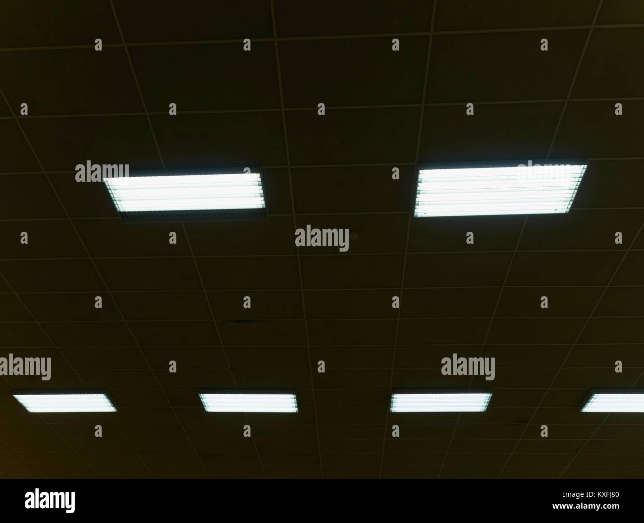Lighted panel of mercury fluorescent lamp tubes. Lights system in line