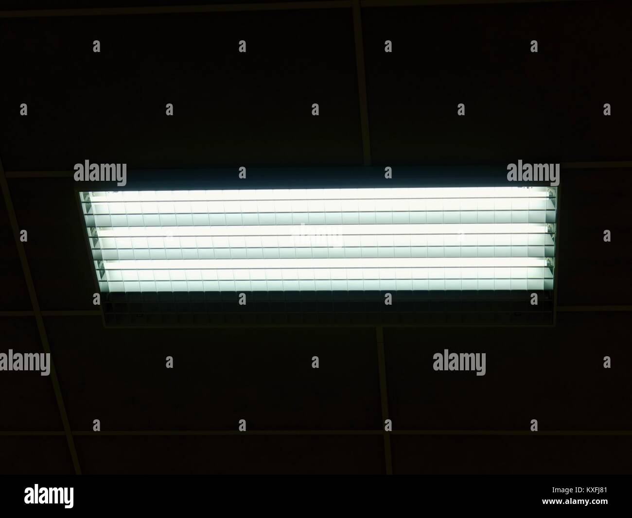 Lighted panel of mercury fluorescent lamp tubes. Lights system in line