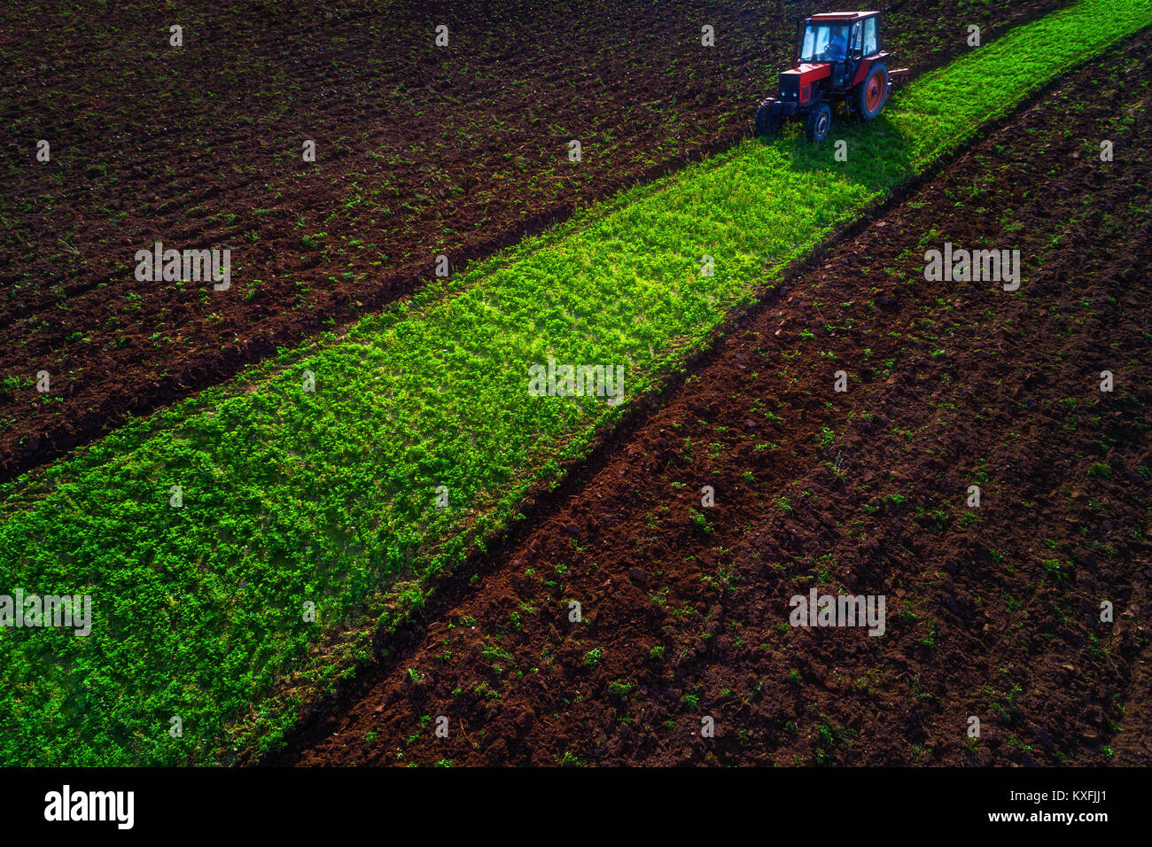Aerial view of tractors working on the harvest field Stock Photo Alamy