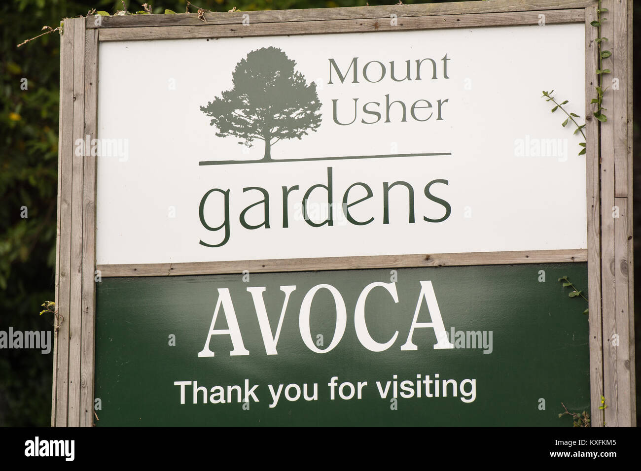 Avoca Cafe at Mount Usher Gardens in county Wicklow in Ireland Stock
