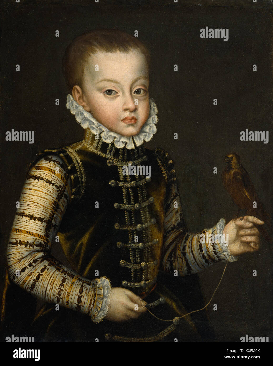 Alonso Sánchez Coello - Portrait of Infante Ferdinand of Spain - Walters 37551 Stock Photo