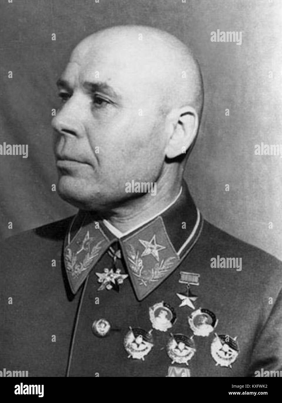 Timoshenko soqollanmagan amchi.