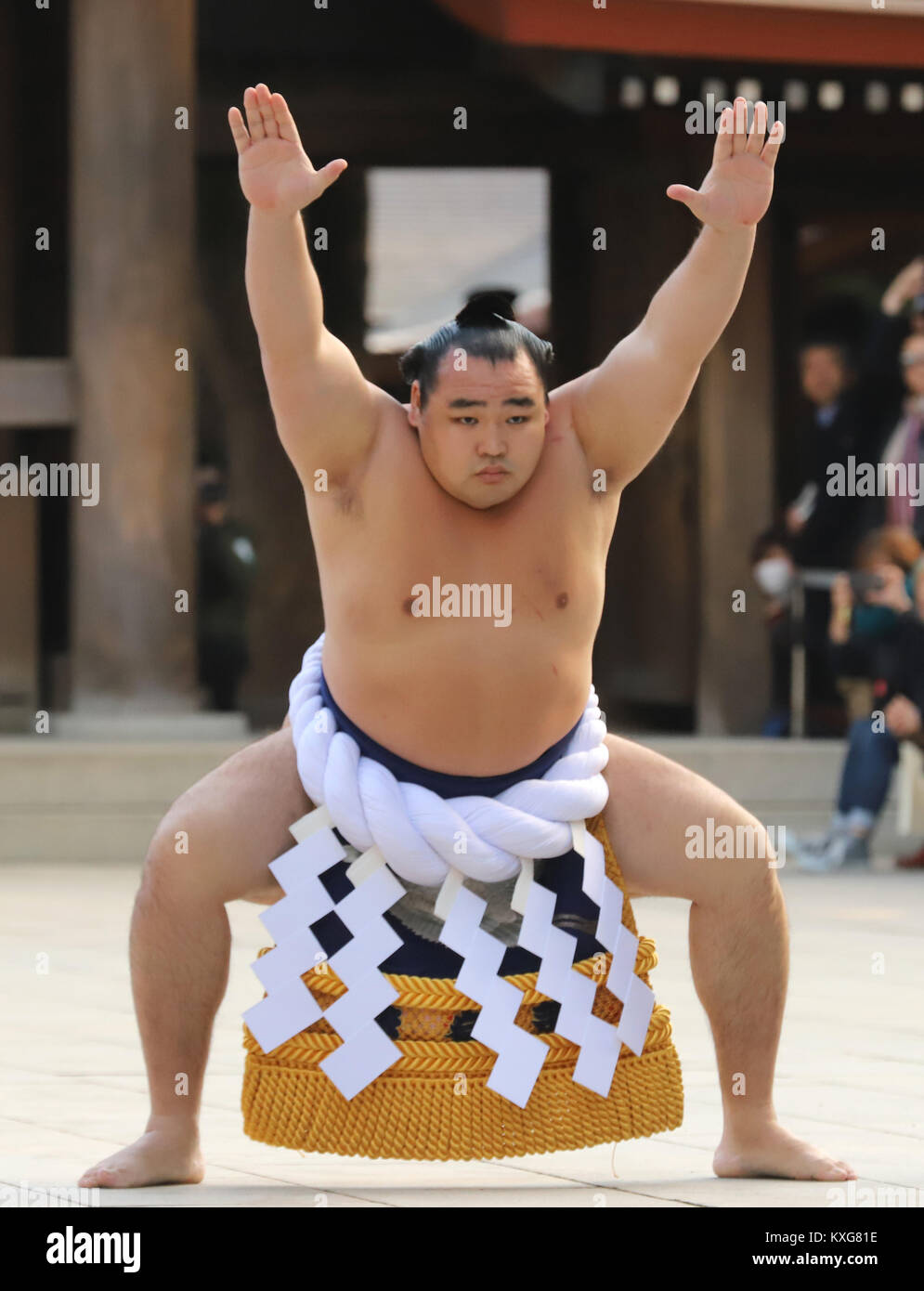 Yokozuna Sumo
