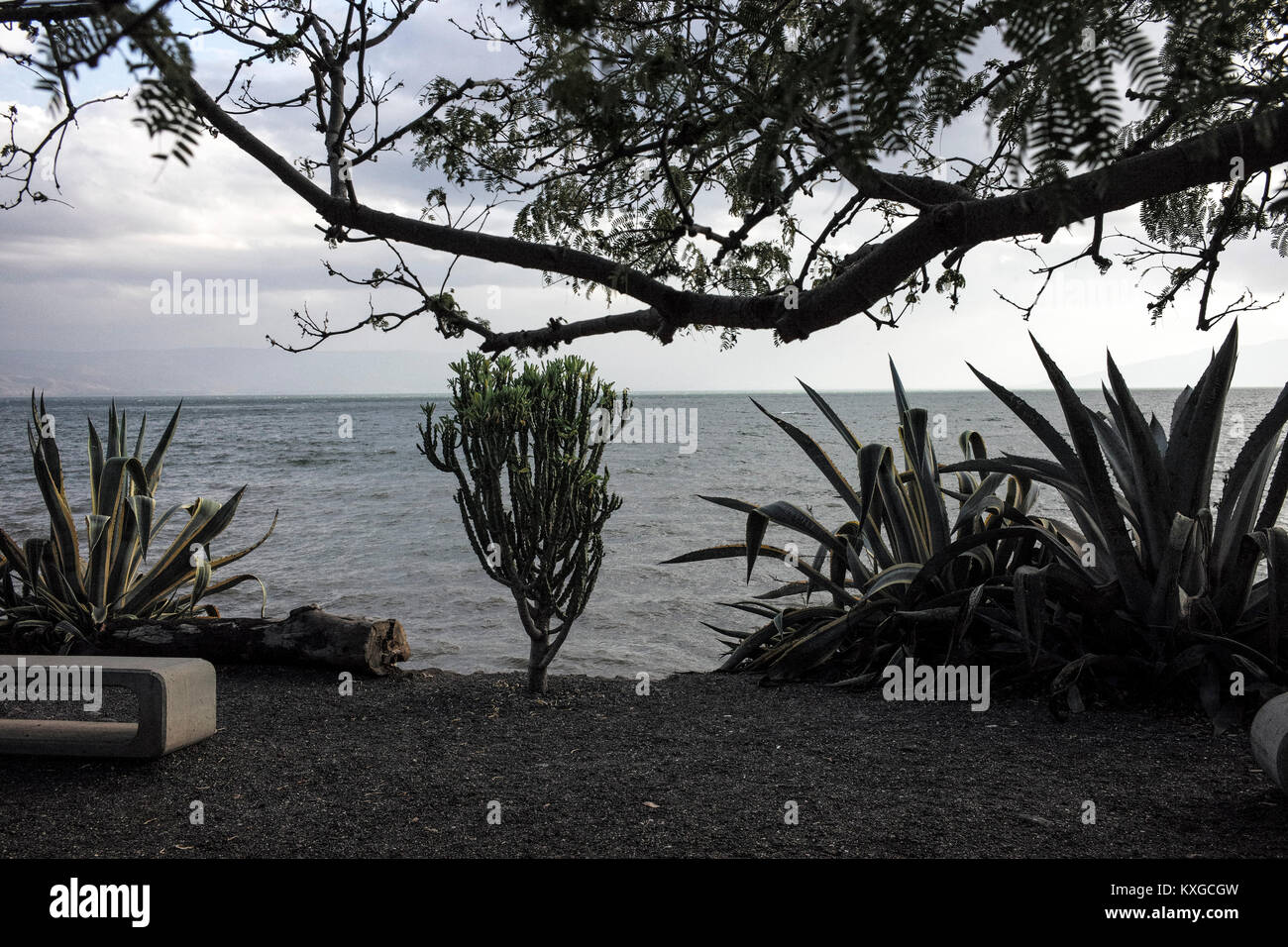 Israel. 02nd Jan, 2018. The shore of the Sea of Galilee in Capernaum, Israel on 29.12.2017 by Wiktor Dabkowski | usage worldwide Credit: dpa/Alamy Live News Stock Photo