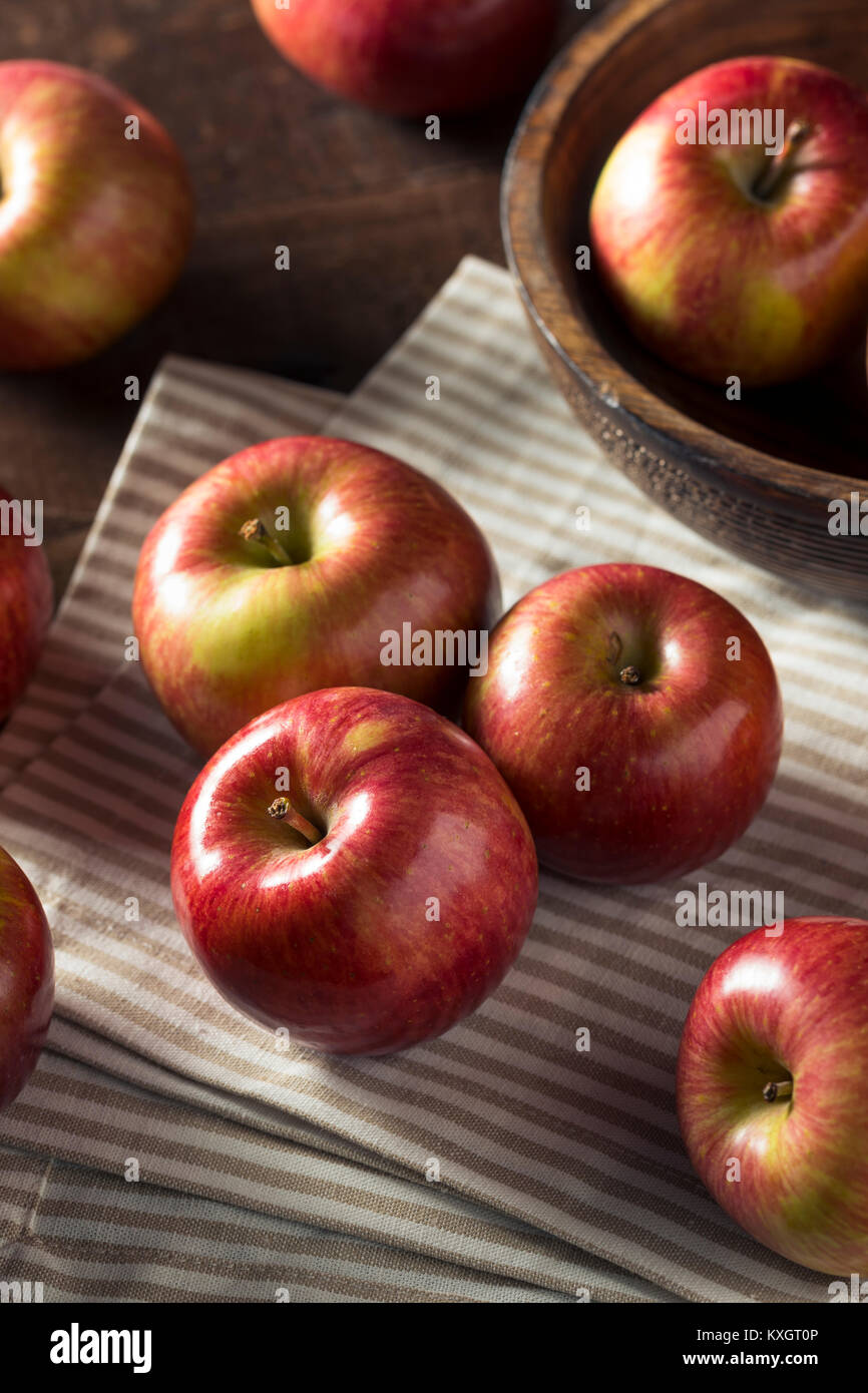 Raw Red Organic Kiku Apples in a Bunch Stock Photo Alamy