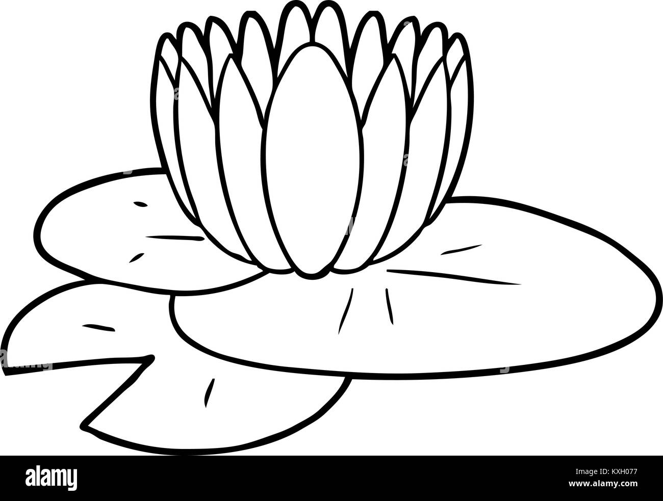 Waterlilly illustration Black and White Stock Photos & Images Alamy