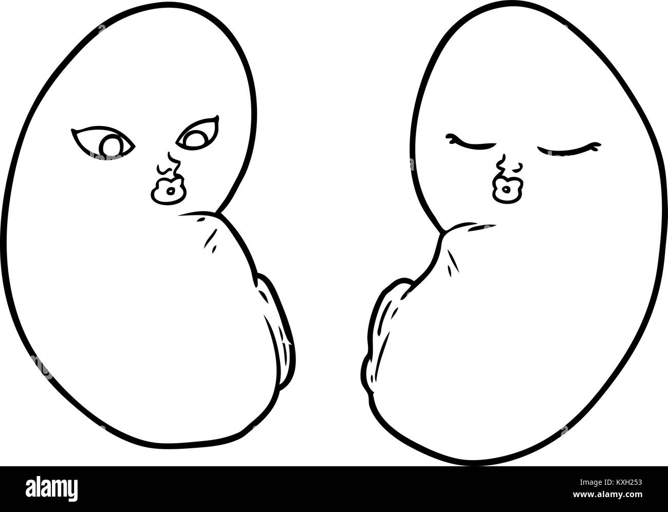 Kidneys Black and White Stock Photos & Images - Alamy