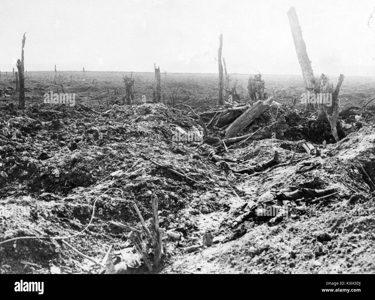 After the Battle of Flers-Courcelette Stock Photo