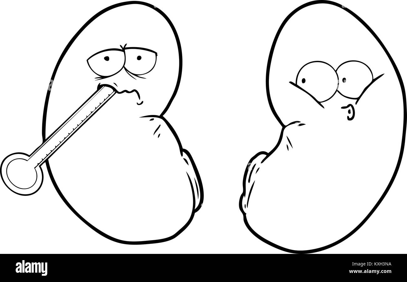 Human kidney cartoon Black and White Stock Photos & Images - Alamy