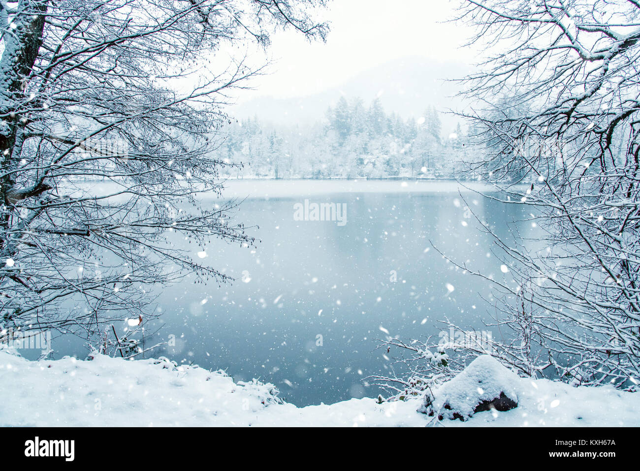 Frozen lake in snowy forest Stock Photo - Alamy