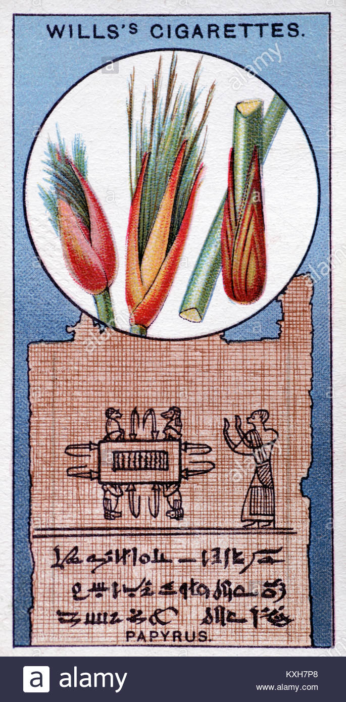 Depiction of Papyrus made from the Papyrus reed by ancient Egyptians as a writing material Stock Photo