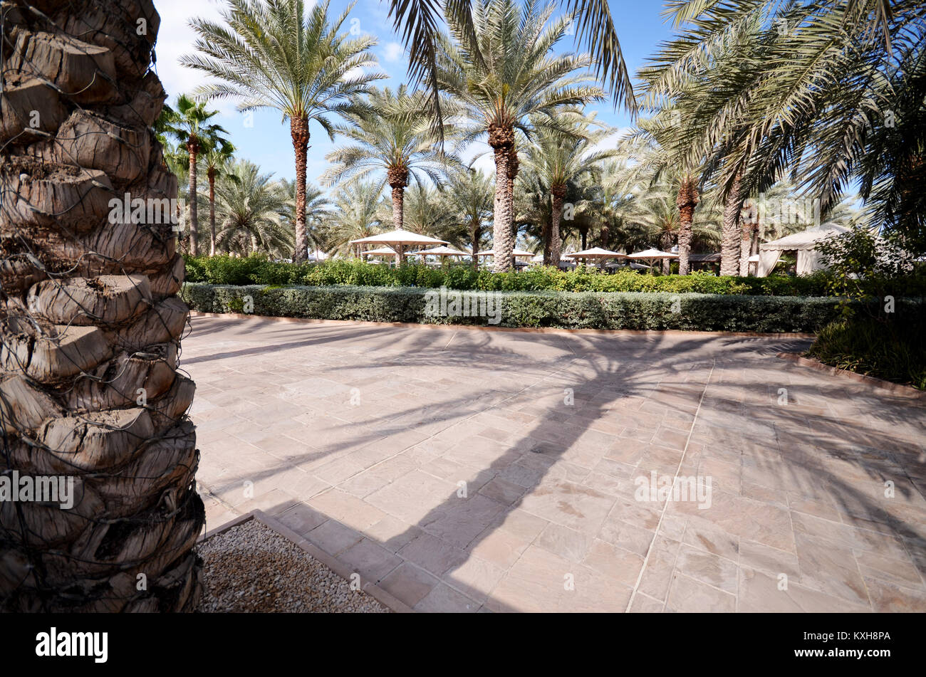 Palm Leaves Shade High Resolution Stock Photography and Images - Alamy