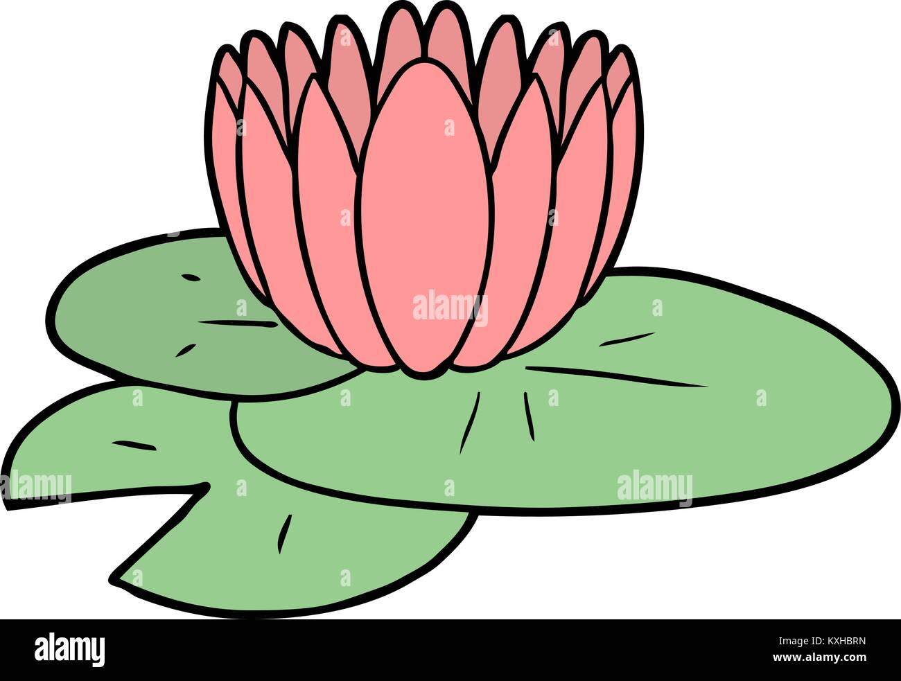 Cartoon Water Lily Stock Vector Image Art Alamy