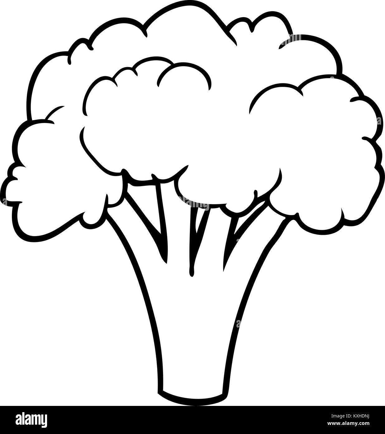 line drawing of a broccoli Stock Vector Image & Art Alamy