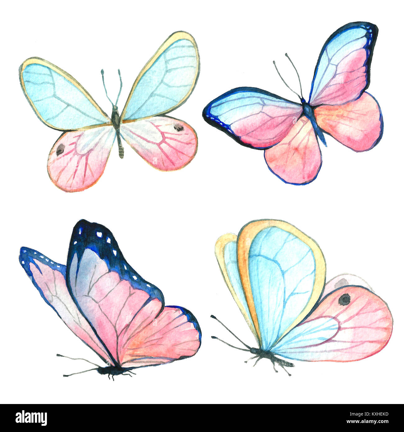 Collection Watercolor Of Flying Butterflies Stock Photo Alamy