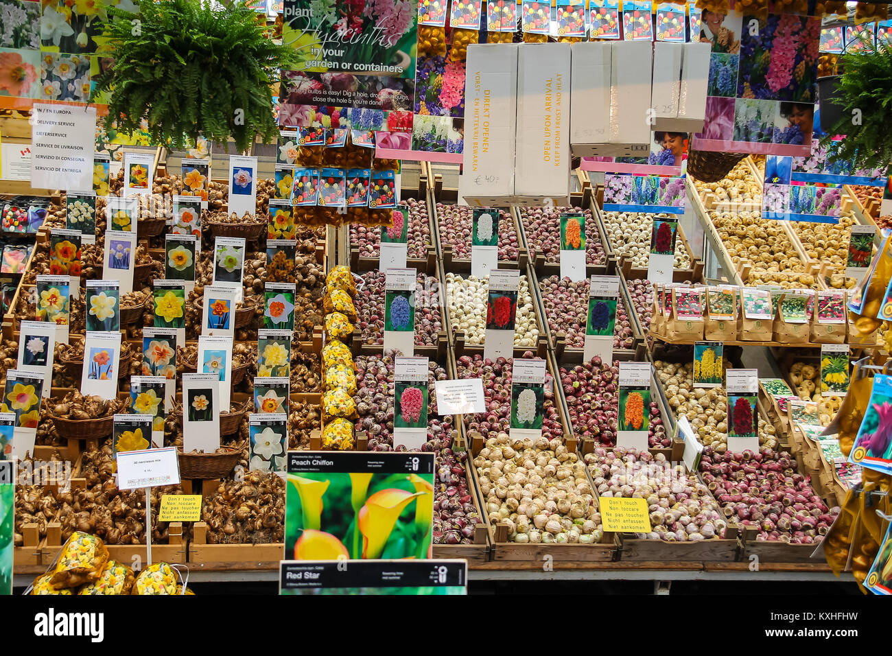 Amsterdam, the Netherlands - October 03, 2015: Flower seeds shop in the city center Stock Photo