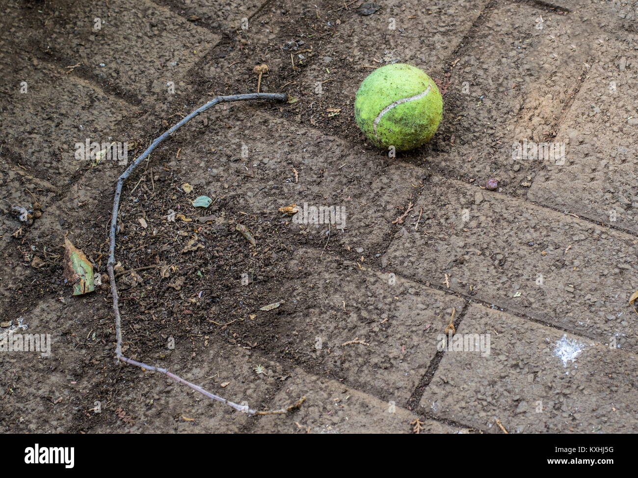 Abandoned green tennis ball and a dry bent twig on dusty and dirty paving Stock Photo