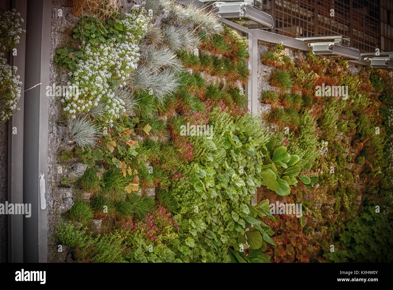 Vertical garden wall urban area hi-res stock photography and images - Alamy