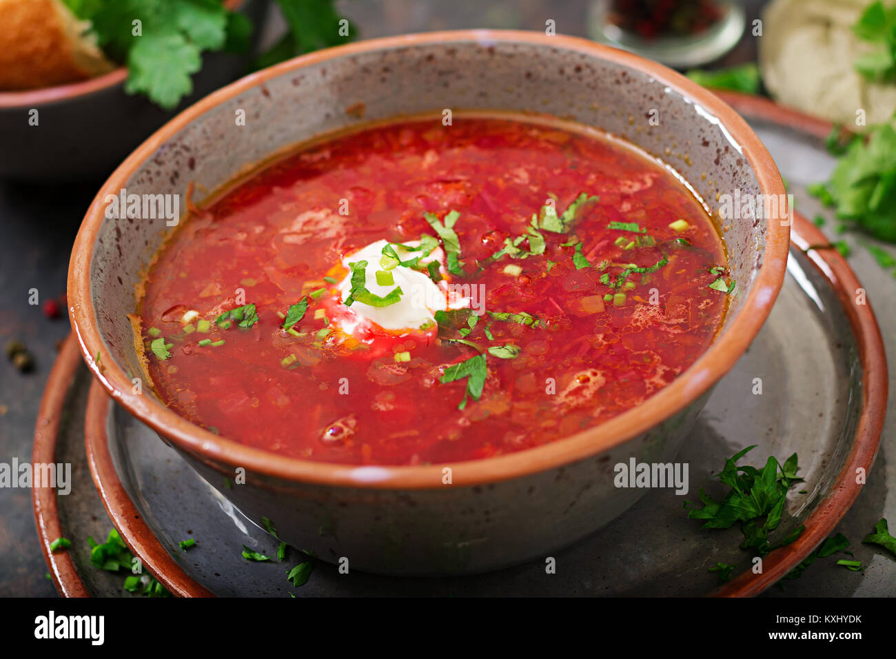Traditional Ukrainian Russian borscht with beef on the bowl Stock Photo