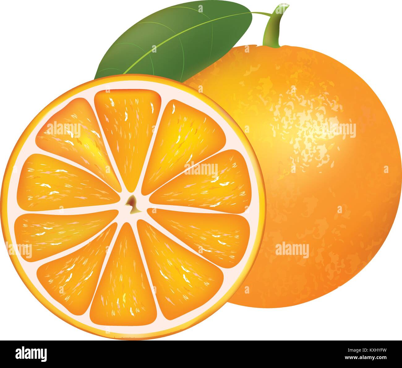 Whole orange and half, vector Stock Vector Image & Art Alamy