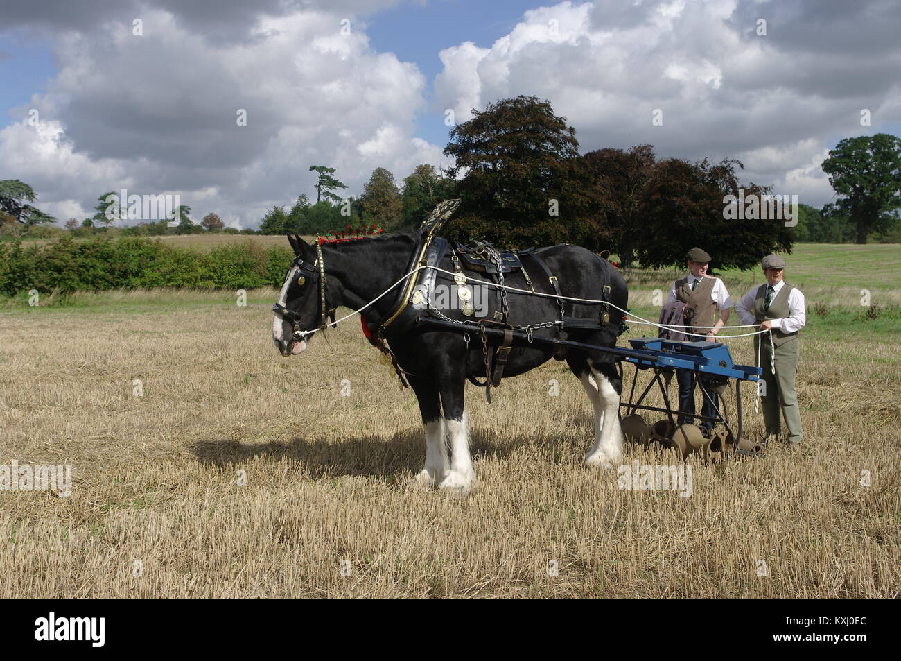 Horse drawn harrow hires stock photography and images Alamy