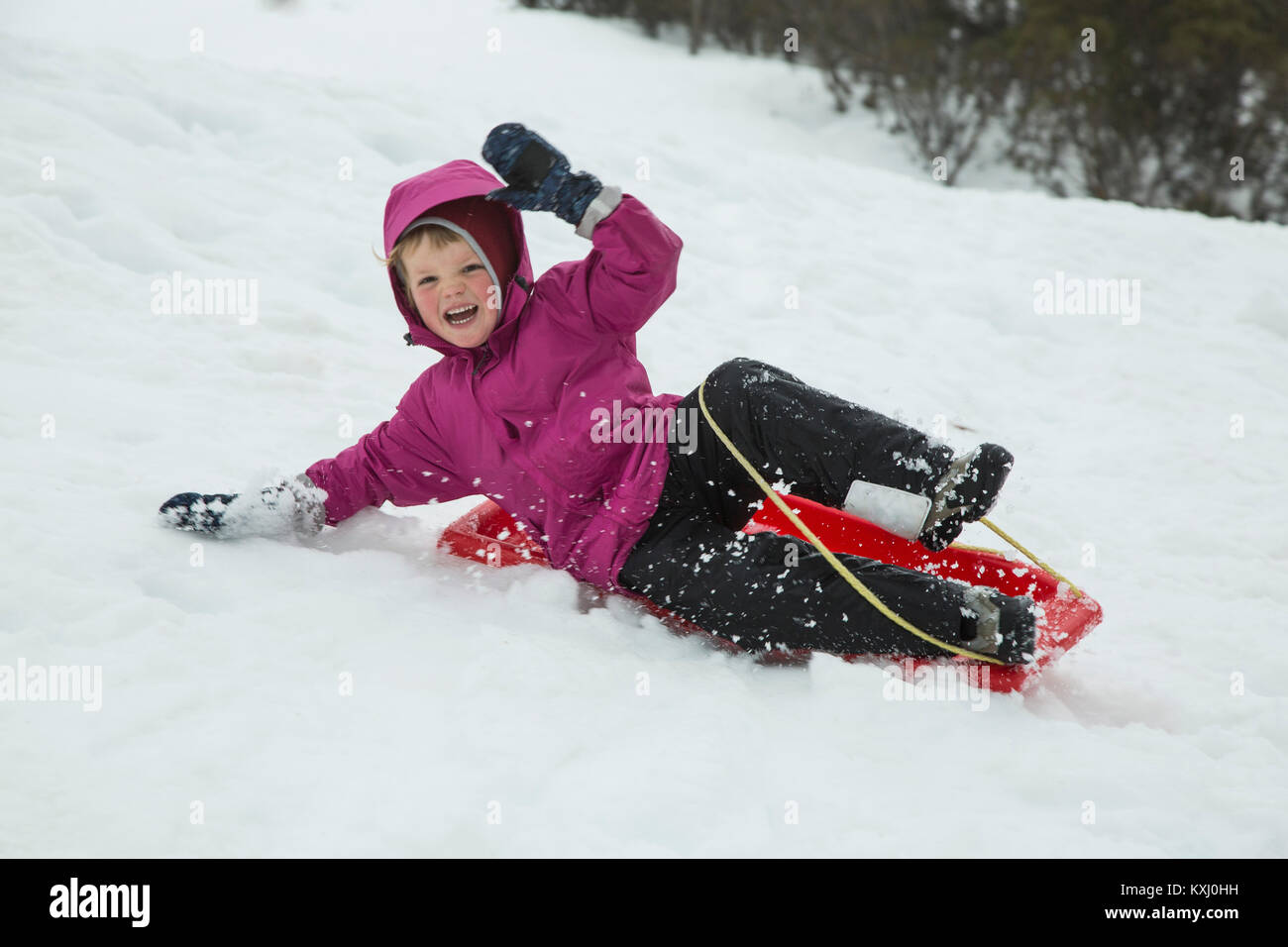 Cheerful boy tobogganing on snow covered field Stock Photo