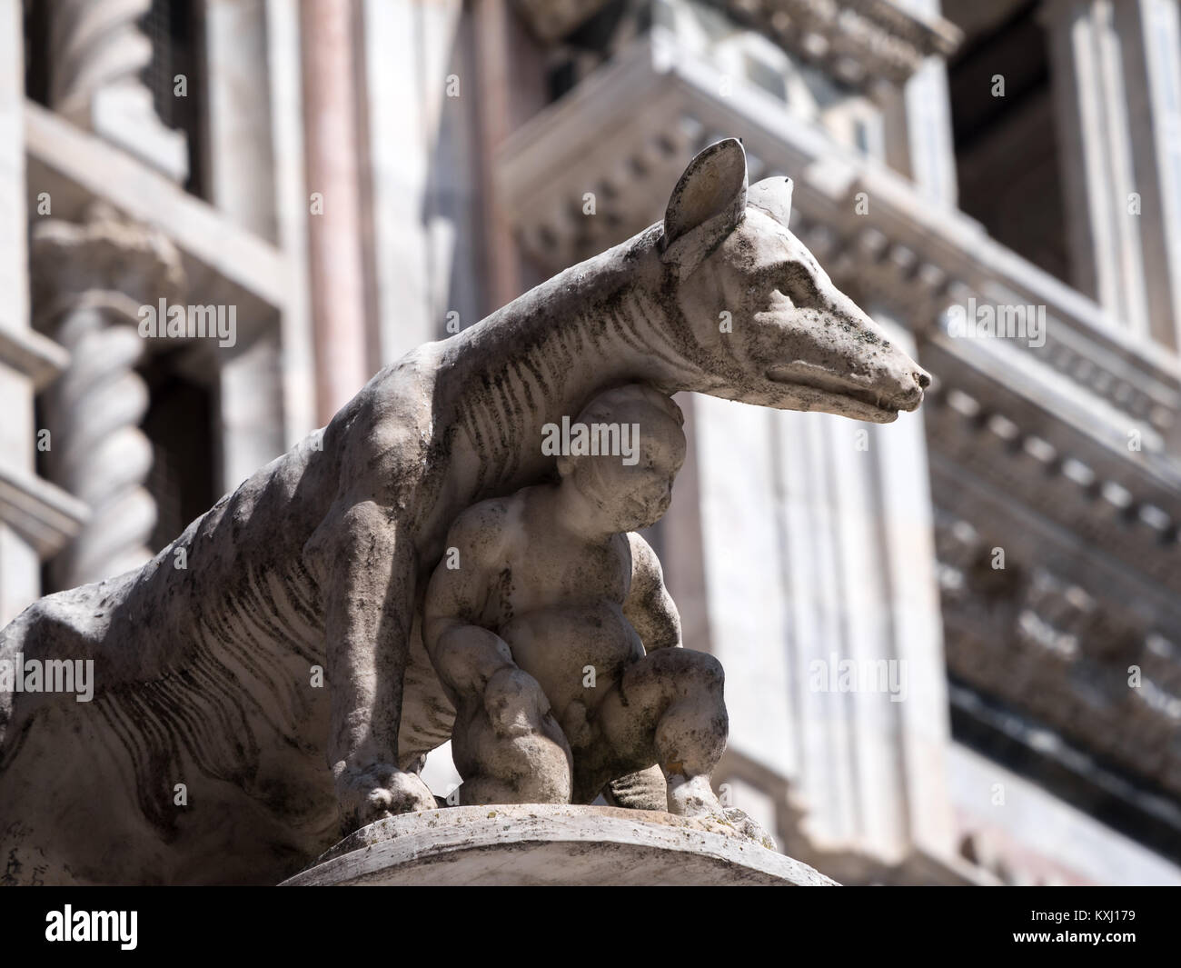 Statue of the Capitoline Wolf in fr Stock Photo Alamy