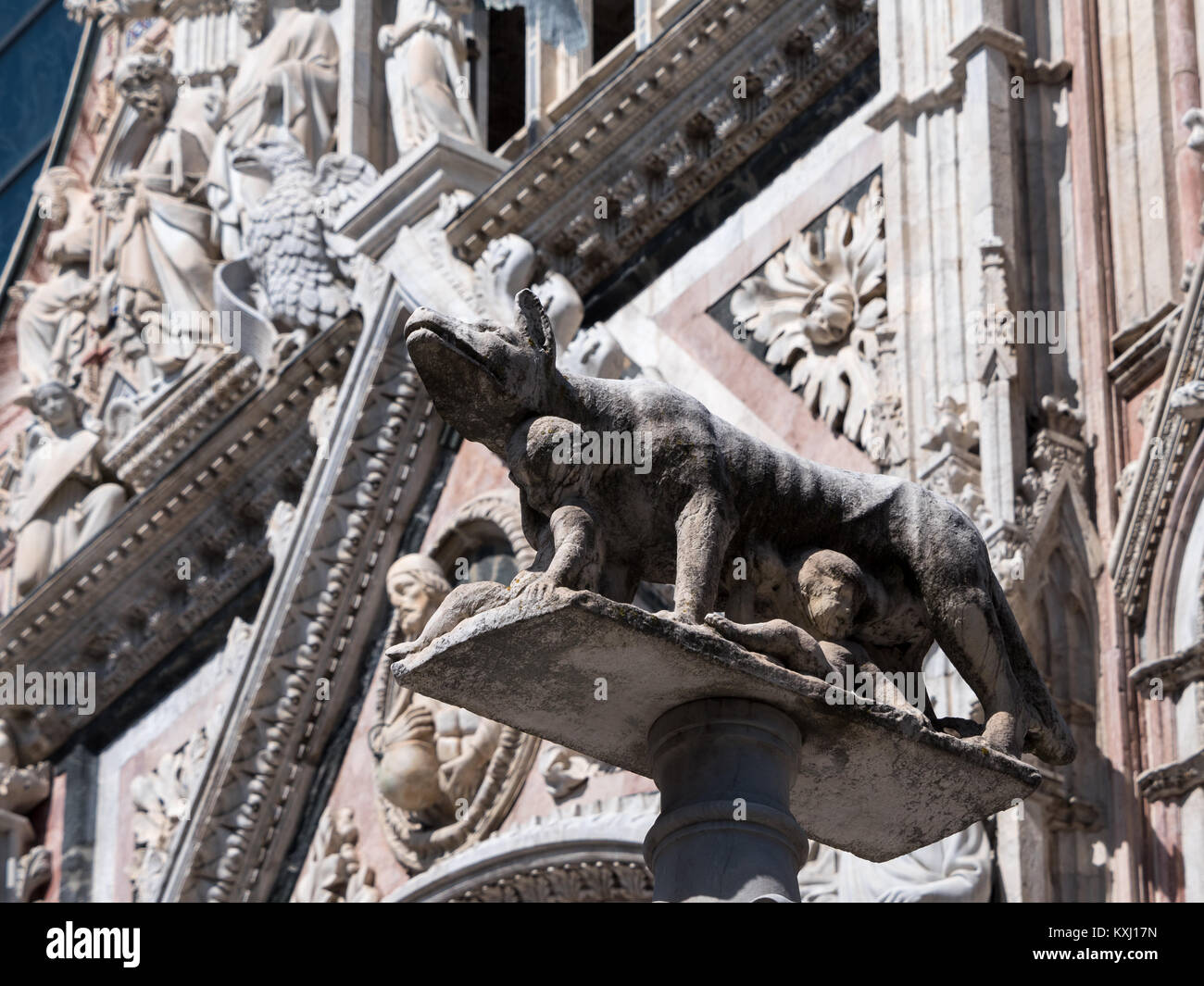 Statue of the Capitoline Wolf in front of Siena cathedral Stock Photo