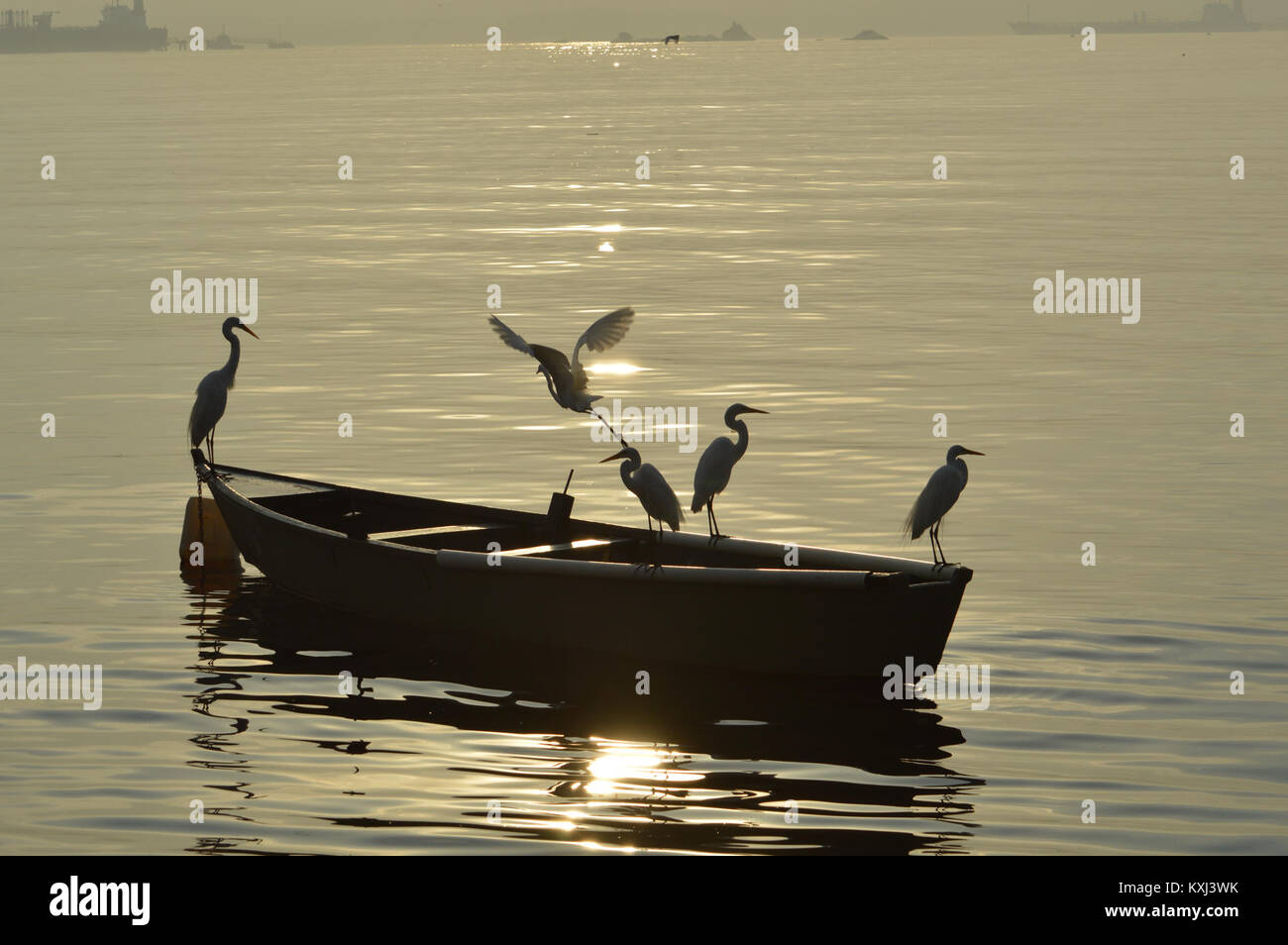 Amanhecer na Ilha do Governador - Rio de Janeiro. Garças pescando. Stock Photo