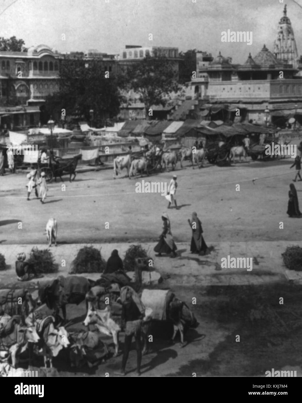 City in jaipur Black and White Stock Photos & Images - Alamy