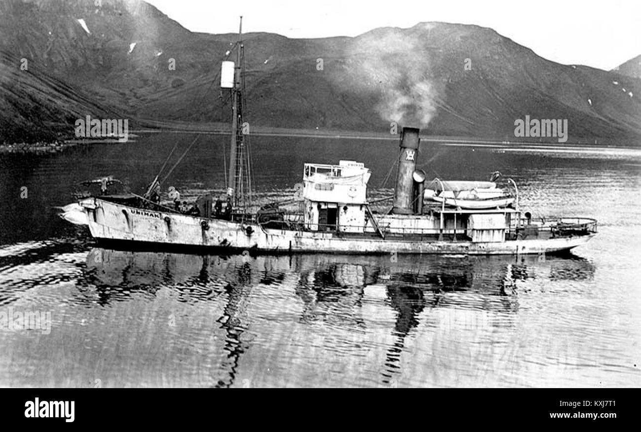 American Pacific Sea Products Co's whaler UNIMAK, Akutan Harbor, Alaska, 1914 (COBB 46) Stock Photo