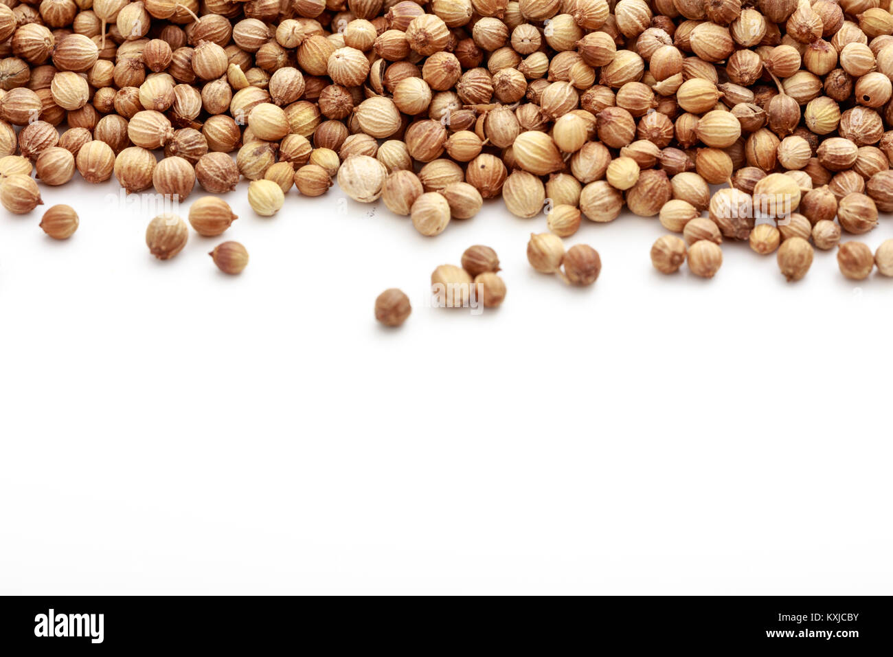 Coriander seeds on white background Stock Photo - Alamy