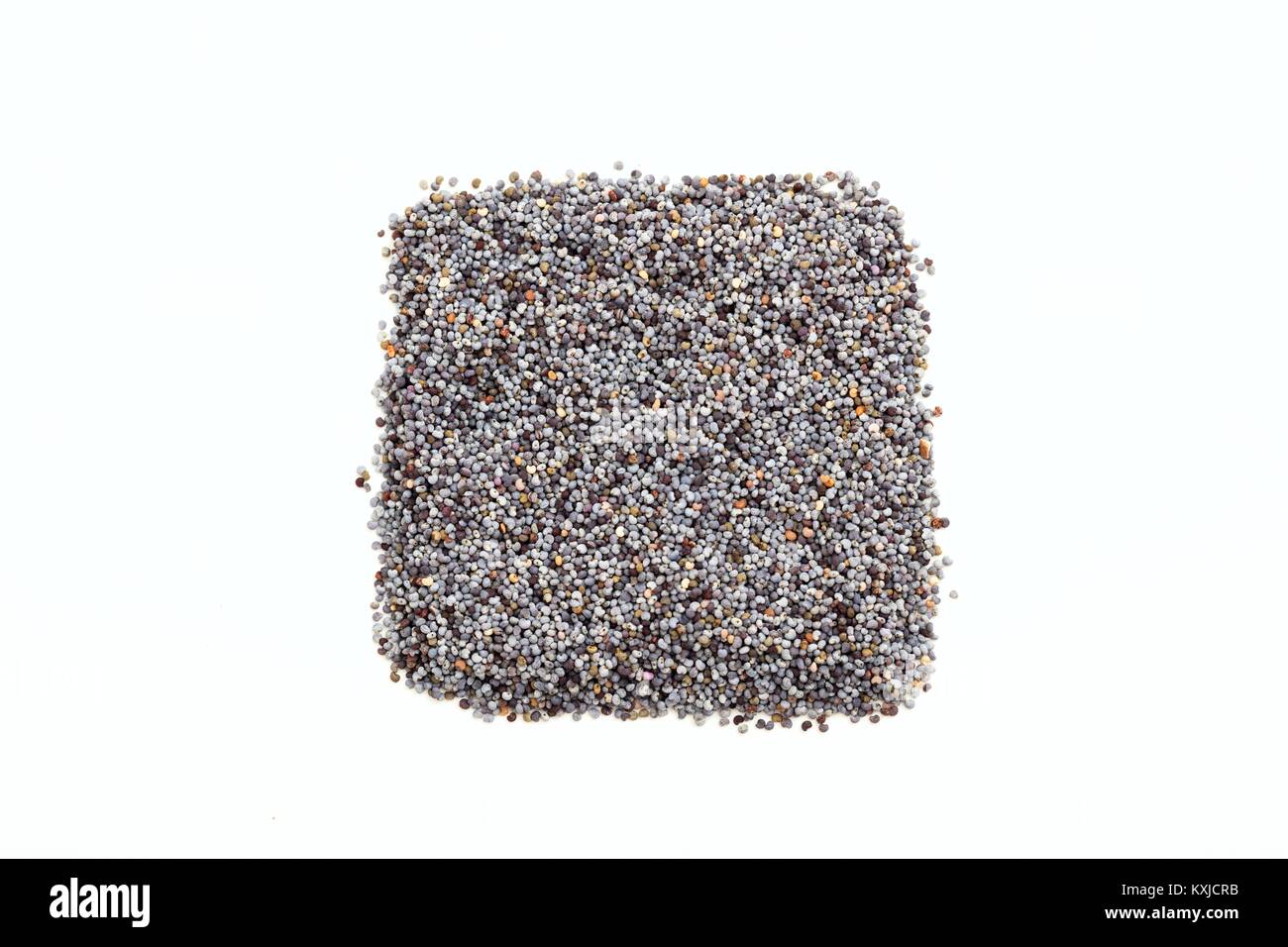 Black poppy seeds on white background Stock Photo Alamy