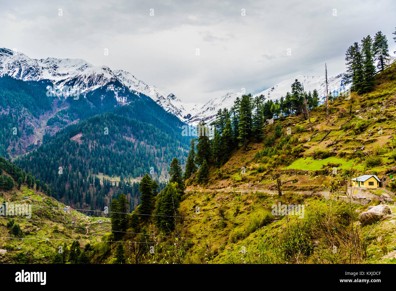 Tosh Village - Himachal Pradesh - India © Sauriêl Ltd | Samantha Scholl | fb.com/SaurielPhotography | www.saurielcreative.com Stock Photo