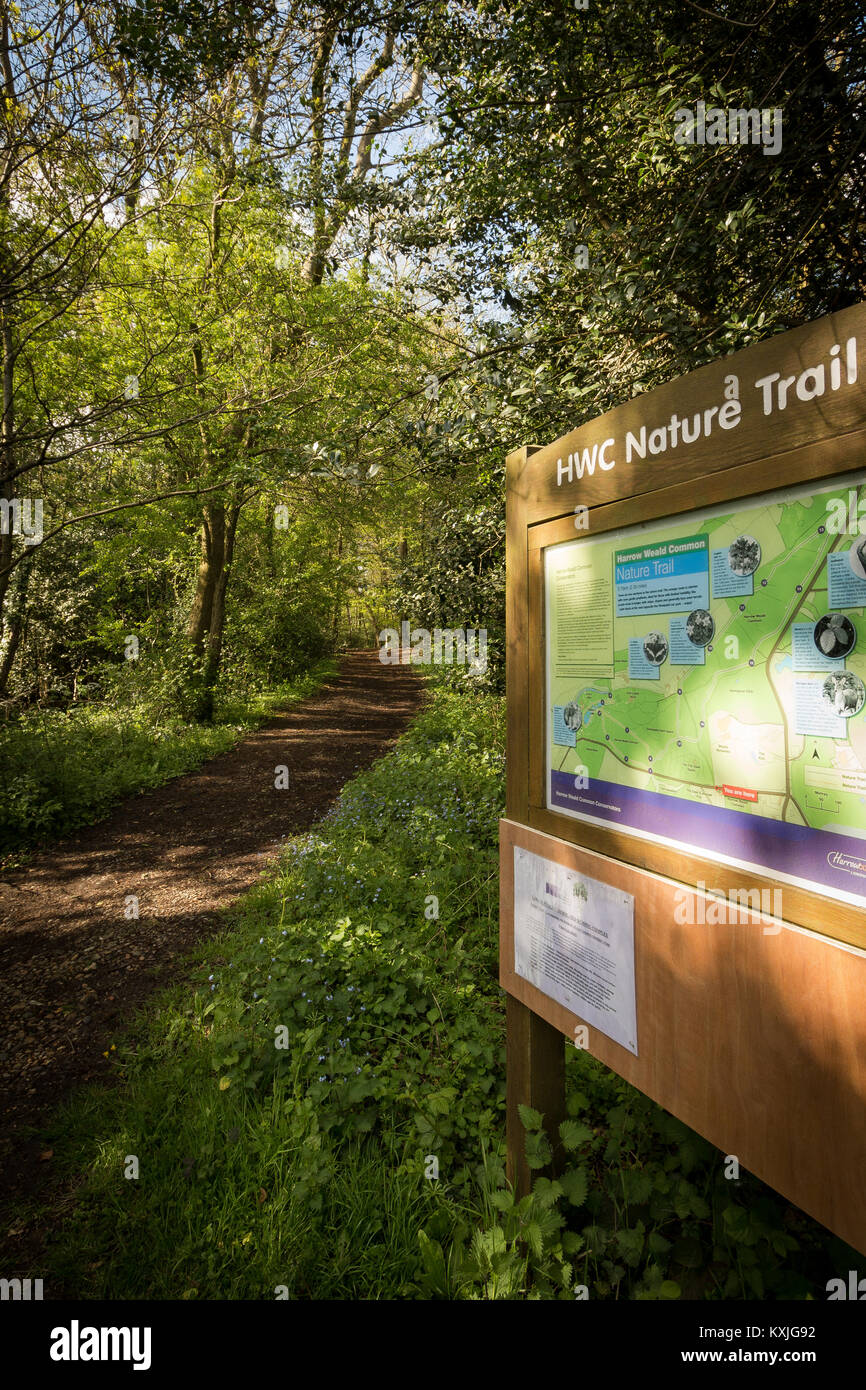 Harrow Weald Common Nature Trail, West London UK Stock Photo