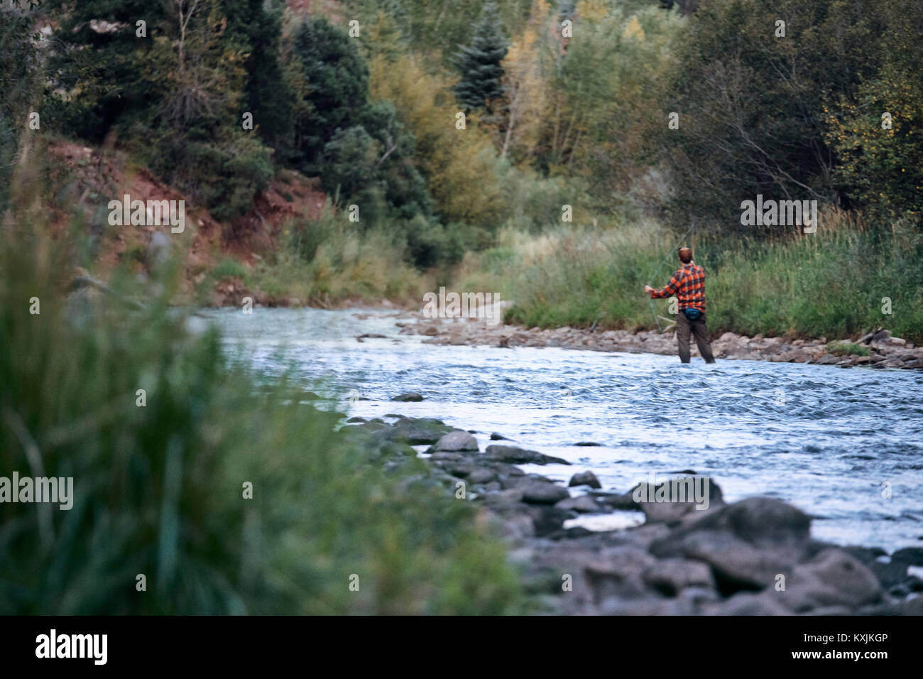 Man wading in river, fishing Stock Photo Alamy