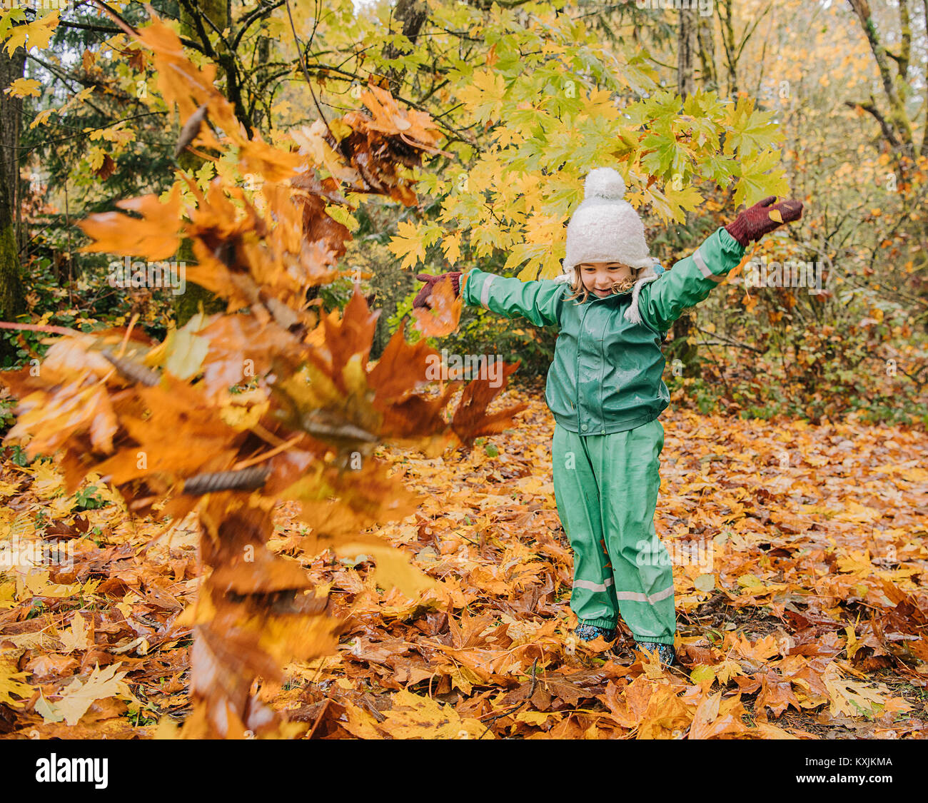 Girl playing with autumn leaves Stock Photo - Alamy