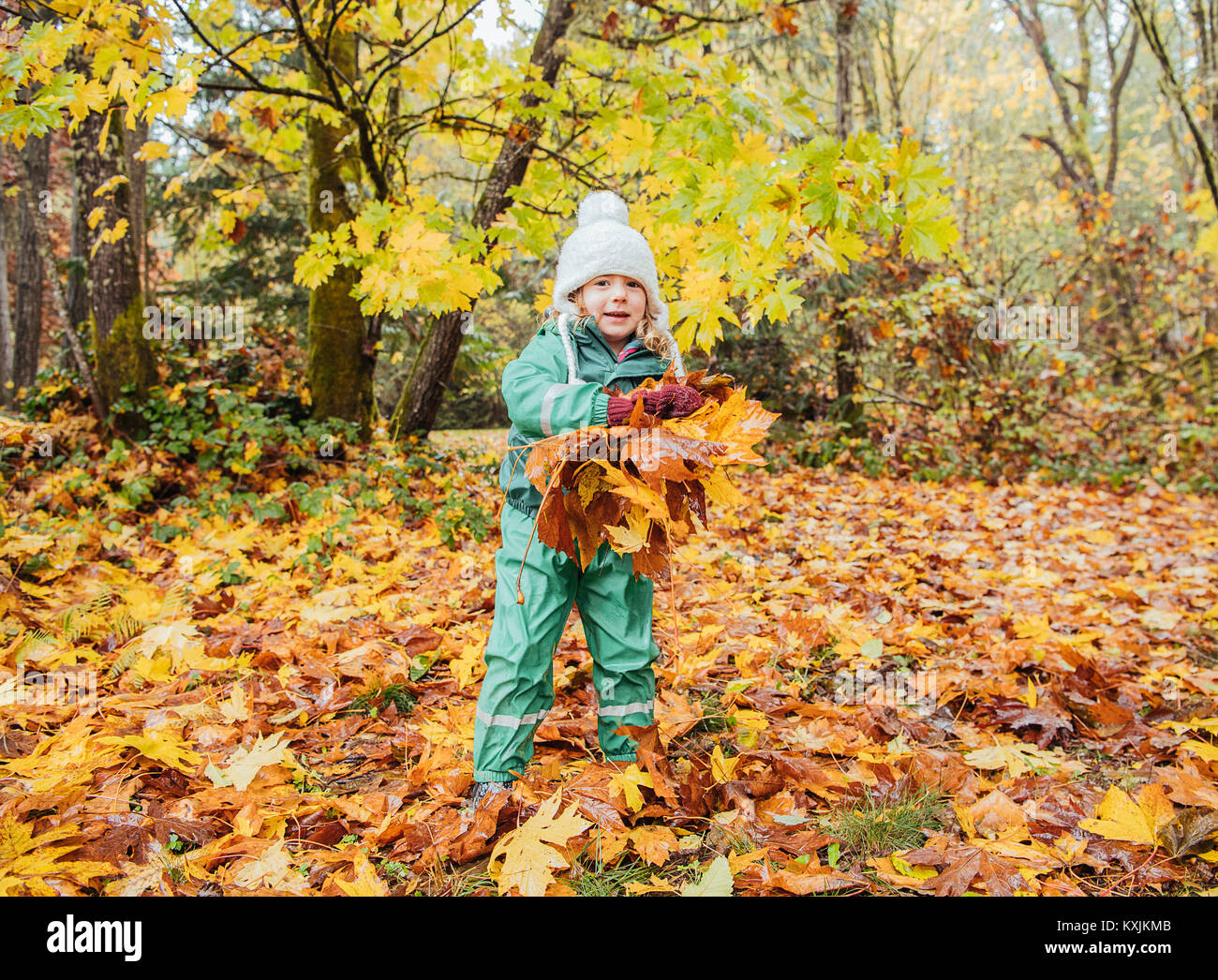 Girl playing with autumn leaves Stock Photo - Alamy