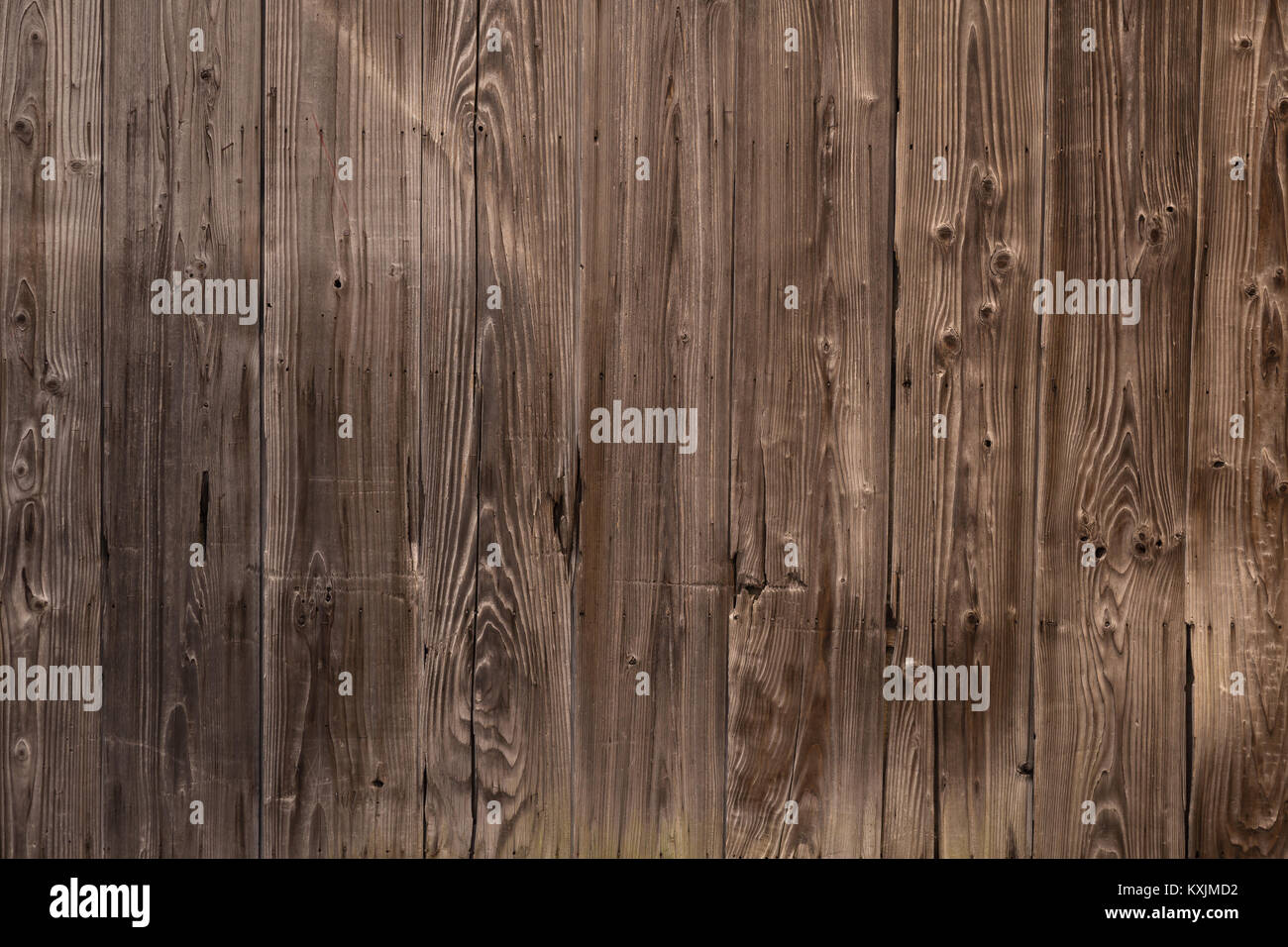 Japanese Pine Wood texture background. Stock Photo