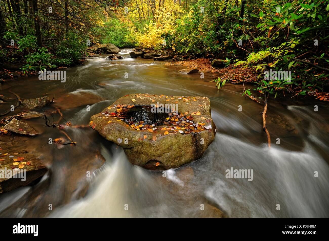 Autumn colors along mountain stream at Babcock State Park, West Virginia Stock Photo