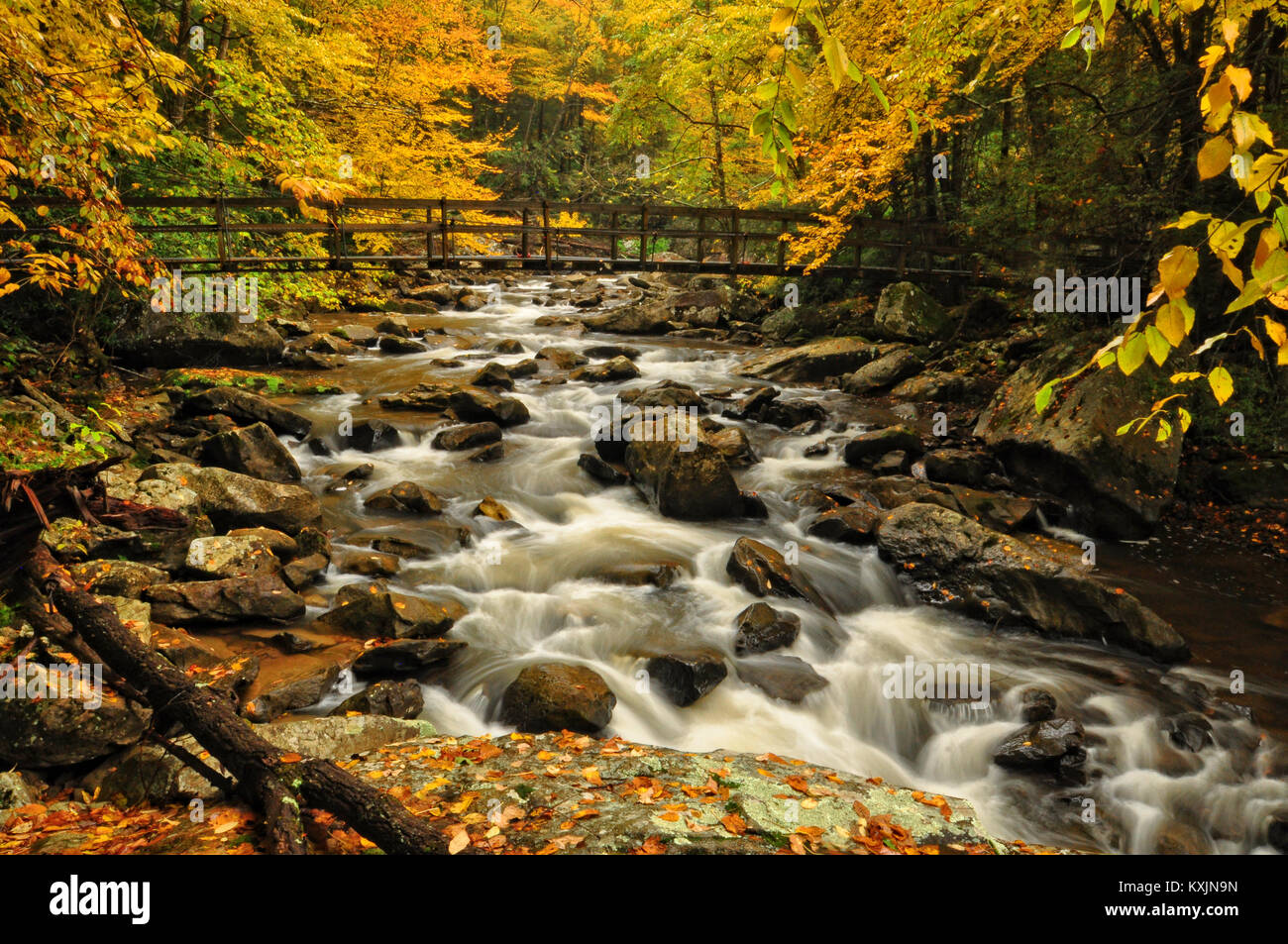 Glade Creek in autumn color Babcock State Park West Virginia Stock Photo