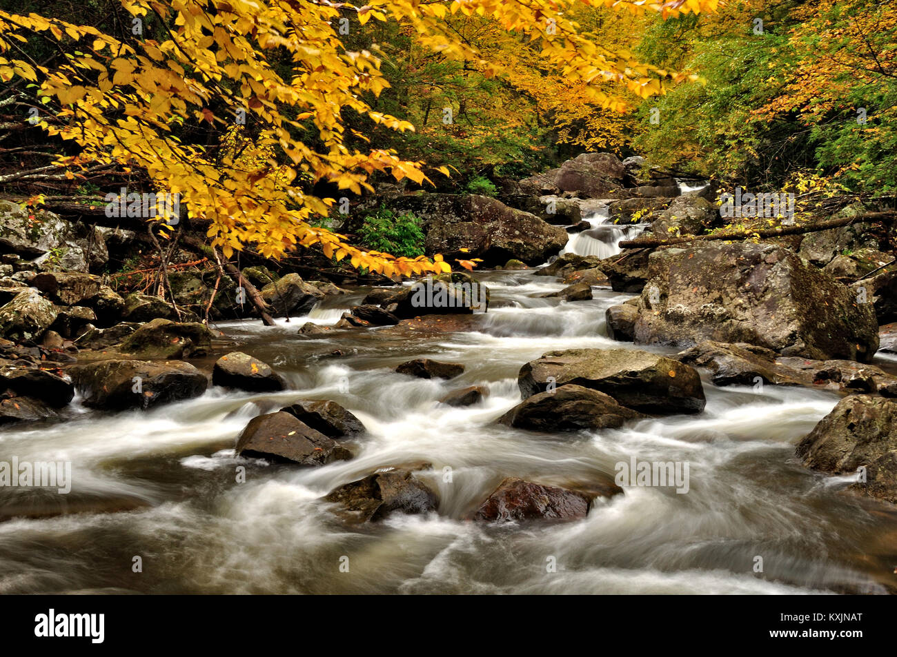 Autumn colors along Glade Creek at Babcock State Park, West Virginia Stock Photo
