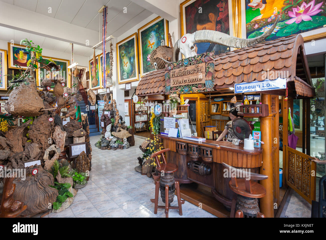 CHIANG MAI, THAILAND - OCTOBER 29, 2014: Museum of World Insects and Natural Wonders interior, Chiang Mai, Thailand. Stock Photo