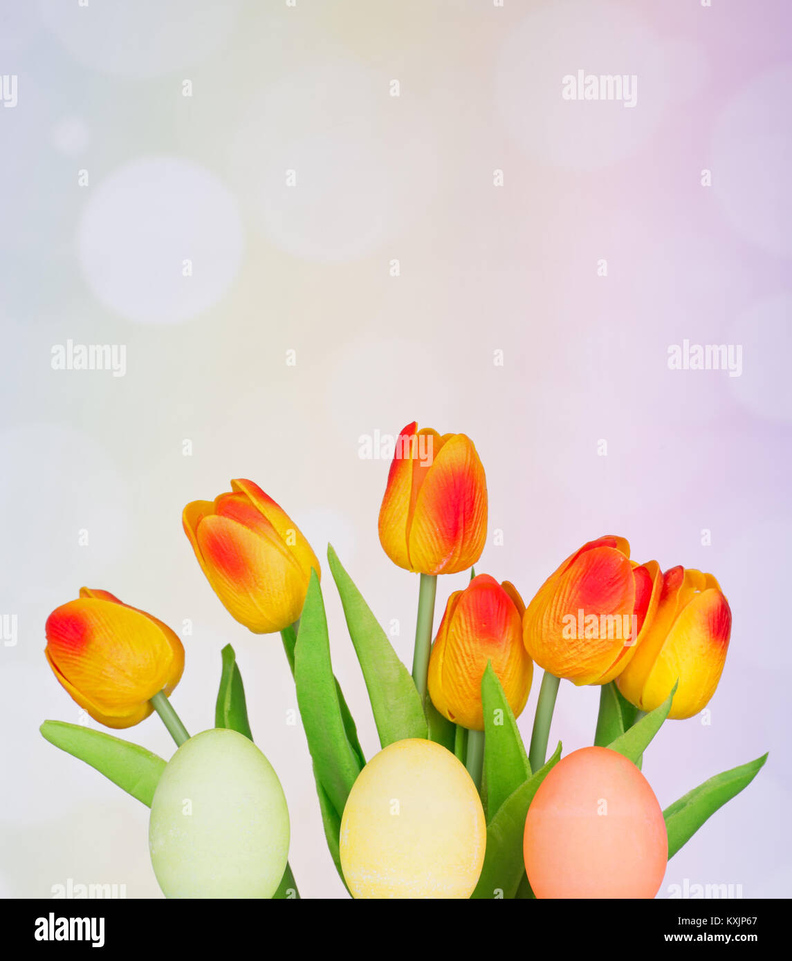Colored Easter eggs and tulips on a colorful background Stock Photo - Alamy