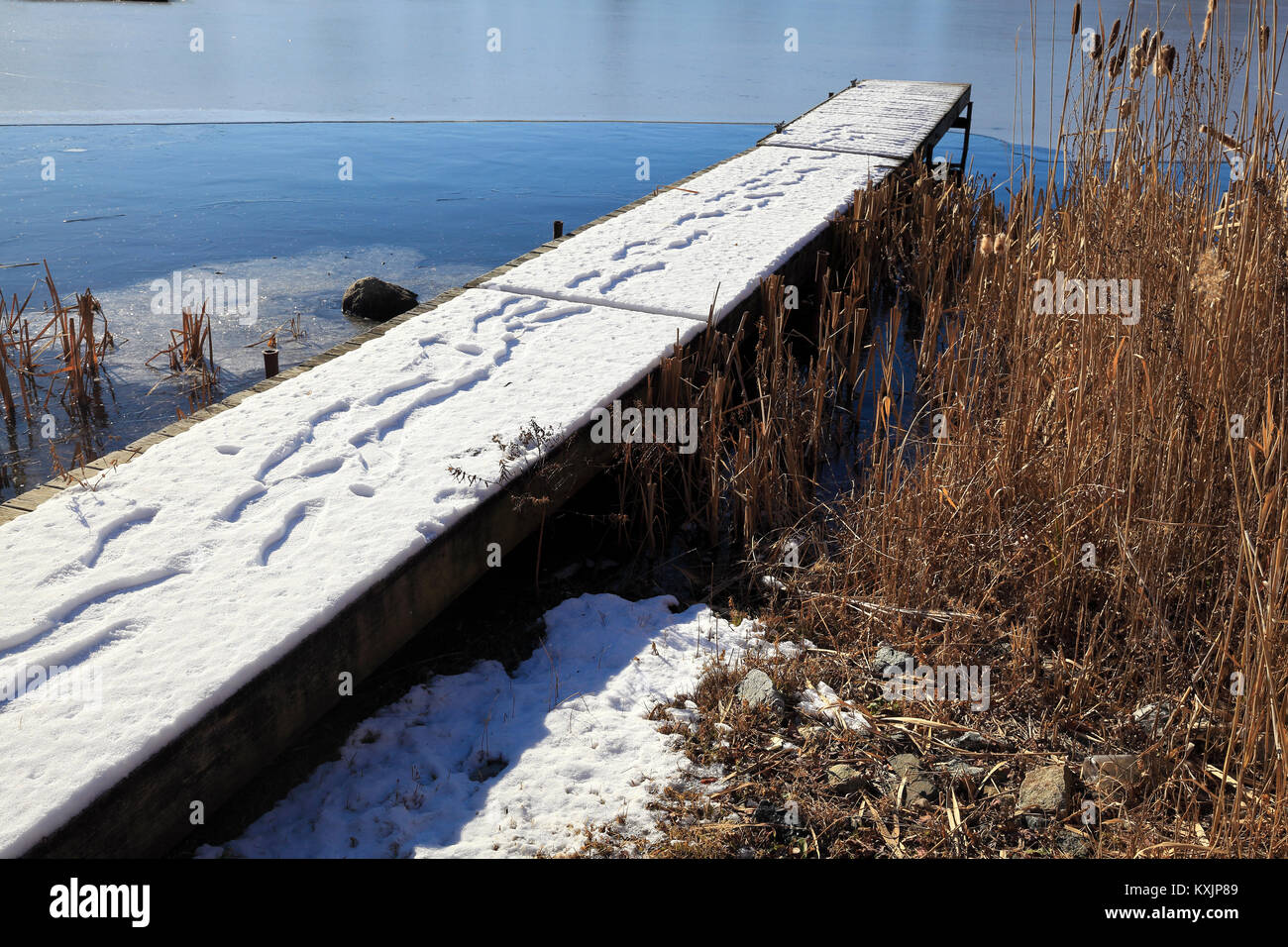 food steps in snow covered dock on frozen lake Stock Photo Alamy