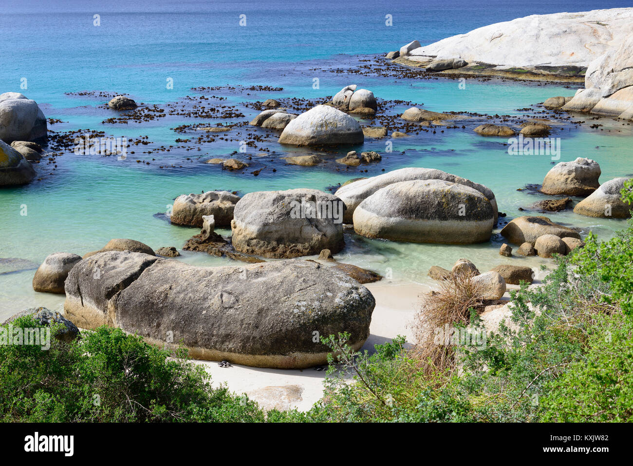 Boulders beach with Colony of African penguins (Spheniscus demersus) in background, Simons Town, South Africa, Indian Ocean Stock Photo